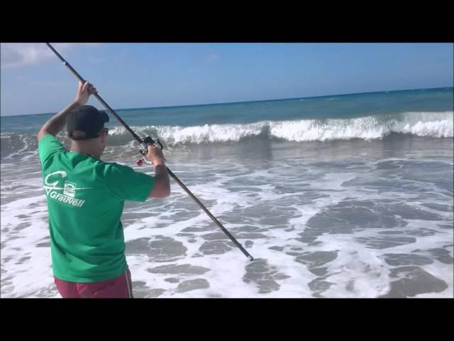 Espinete Surfcasting (NEW RECORD)berrugato(GIGANTE XxL) Grauvell Teklon