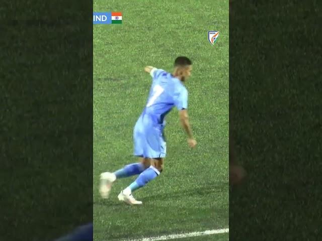 Shami-dinho 