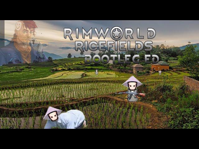 Rimworld Ricefields Experience