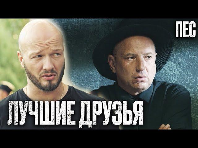  ЛУЧШИЙ НАПАРНИК! Убойный ДЕТЕКТИВ 2023 - Сериал ПЕС 2023 - Лучшие серии