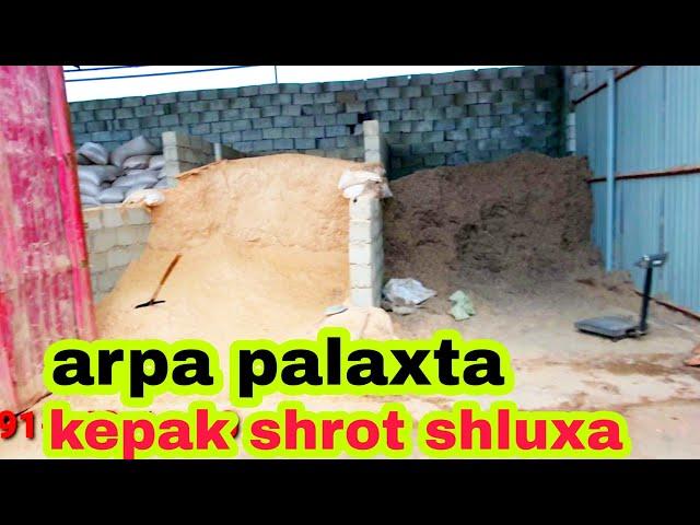 Kepak shluxa shrot palaxta kunjara yem maxsulotlari narxlari 19/01/2022