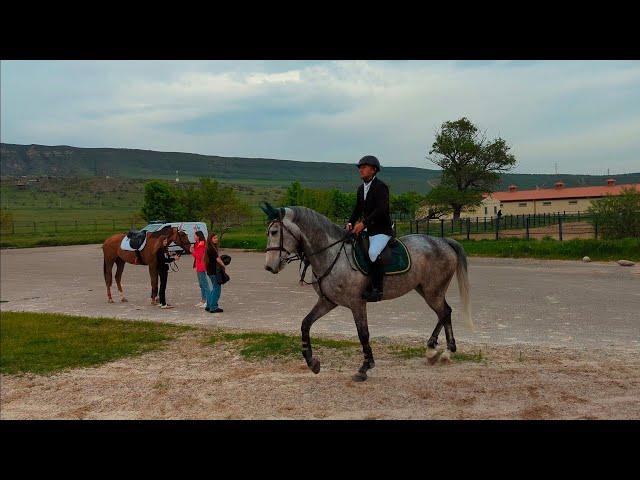 Show jumping on hippodrome Lisi. Tbilisi.