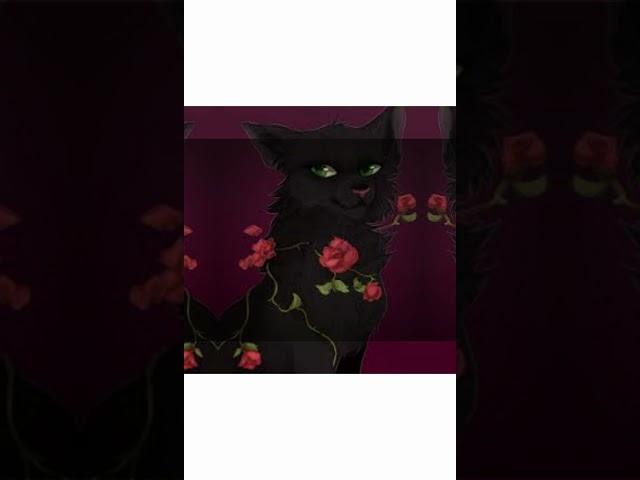 Hollyleaf *Edit*