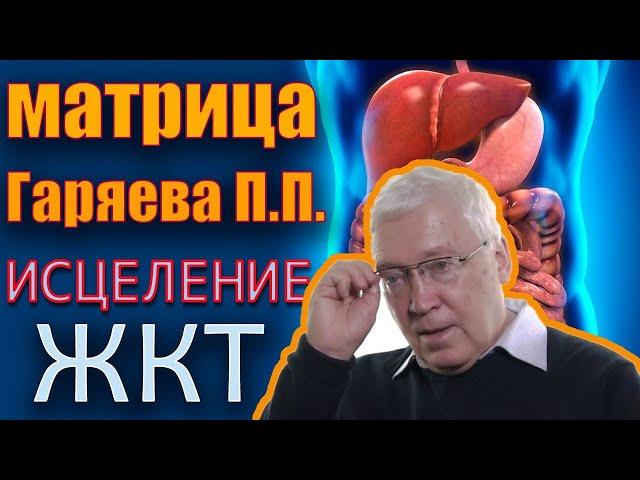 Настоящая Мощная Матрица ЖКТ и Мочеполовой системы №2