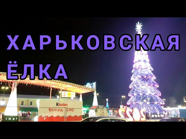 Харьков 2021. Открытие главной ёлки в городе. Opening of the main Christmas tree in the city.