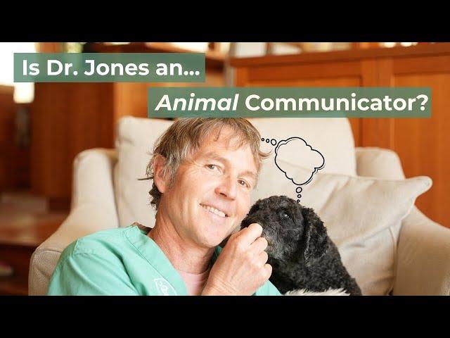 Animal Communication for Beginners: 10 Step Plan