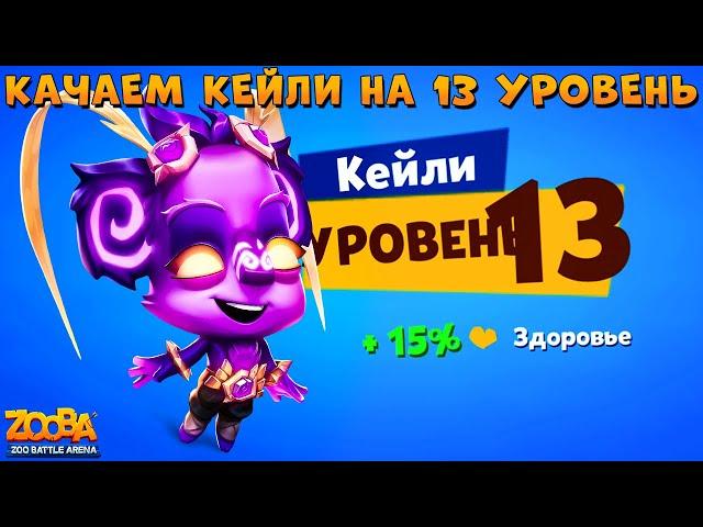 КАЧАЕМ СТИХИЙНУЮ КОАЛУ КЕЙЛИ НА 13 УРОВЕНЬ  В ИГРЕ ZOOBA