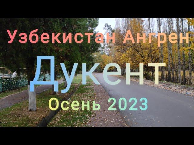 Узбекистан Ангрен Дукент. Осень 31 октября 2023 г.