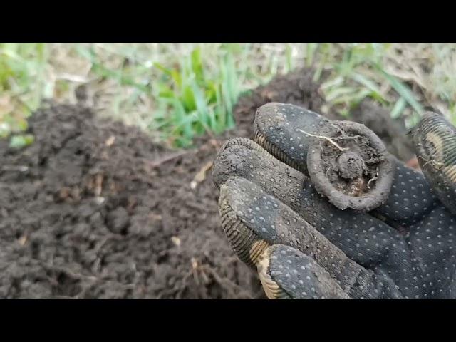 Тогорічній коп. Те, що я вам ще не показала))