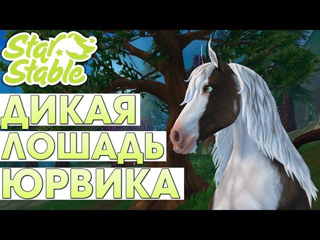 Покупка и Обзор Дикой Лошади Юрвика - Star Stable