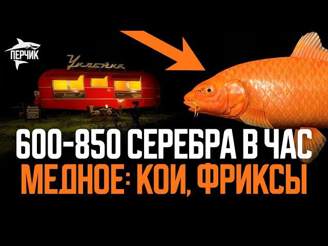 Фарм точка на медном: 600 - 850 серебра (Кои, Фриксы) ● Русская рыбалка 4 ● Перчик РР4