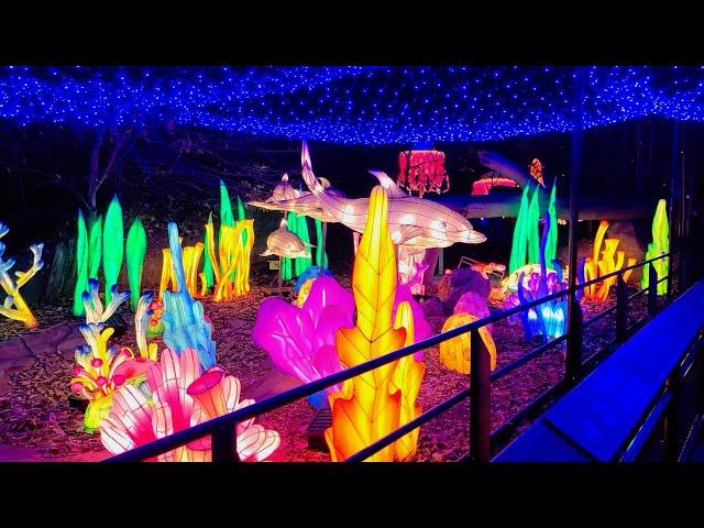 Holiday Lights Shine Bright at the Bronx Zoo | 2024