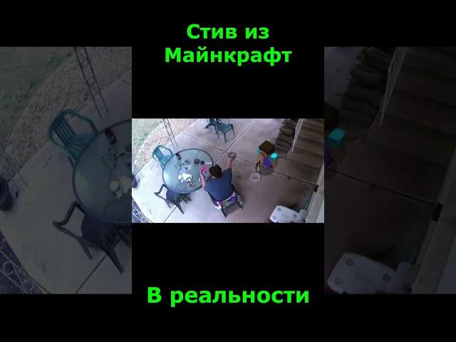 Стив из Майнкрафт в реальности