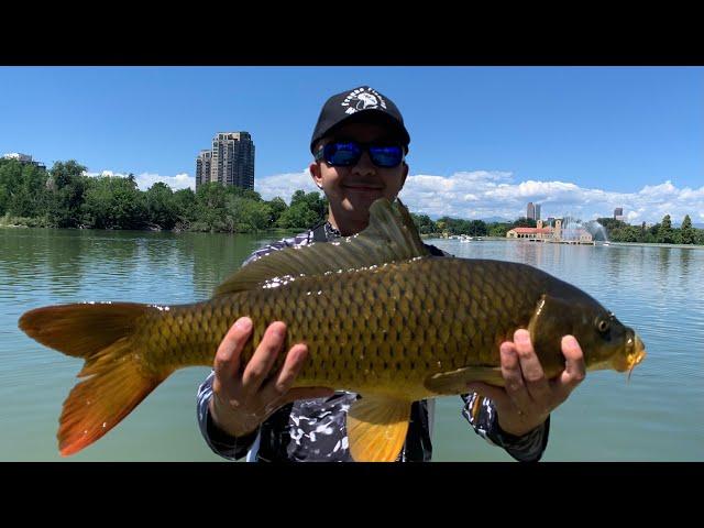 Mile High Fishing City Park Denver, Colorado