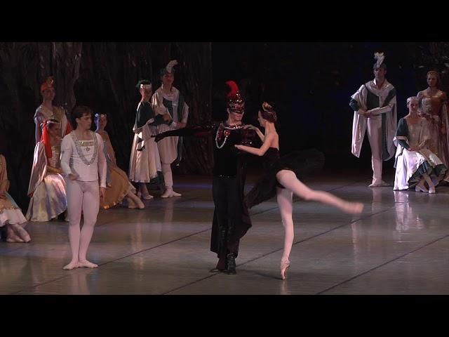 Swan Lake. Black Swan Adagio. Archive of Aleh Lukashevich