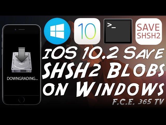 iOS 10.2 - Save SHSH2 Blobs On Windows | Fix "firmware.json" Error