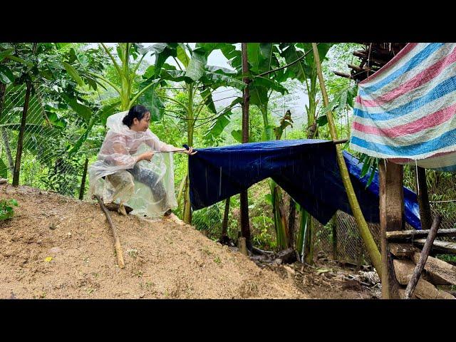 Fighting Typhoon Yagi: 17-year-old single mother bravely protects her family