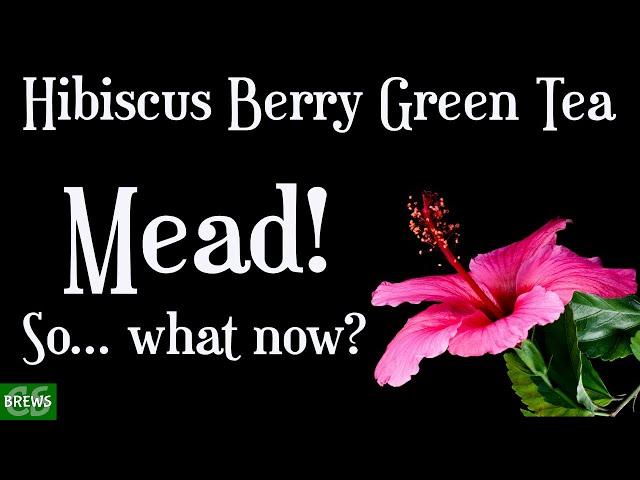 Hibiscus Berry Green Tea Mead Update - What Should We Do With This?