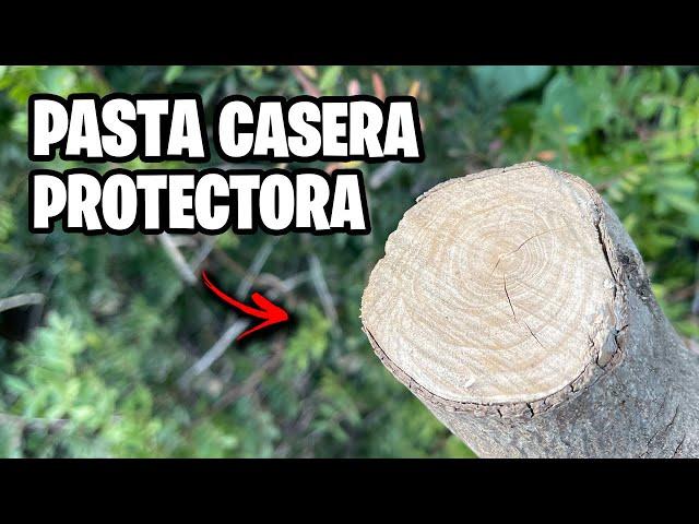 How to Make the BEST Homemade Healing Paste!!  Step by Step | La Huerta de Ivan