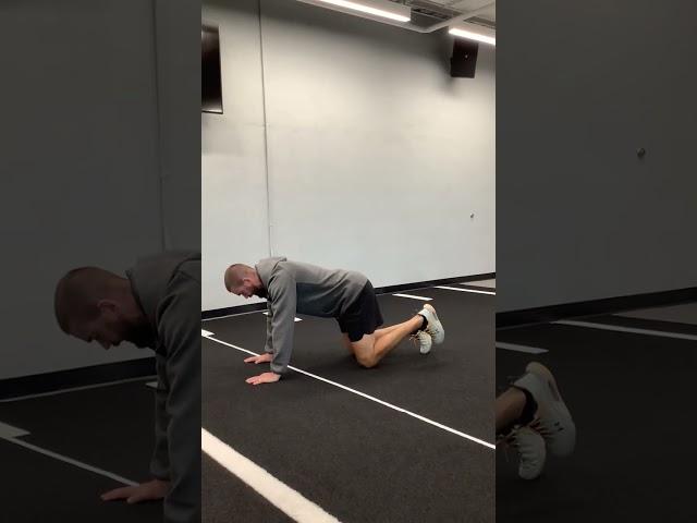 Quadruped Kickback