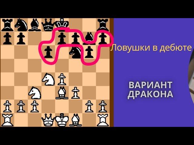 Ловушки в дебюте -  вариант дракона.  Теория до 25 хода