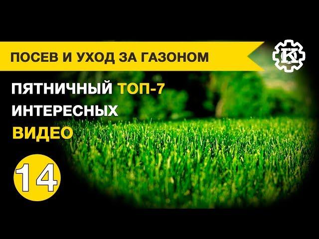 Посев и уход за газоном. Пятничная подборка интересных видео