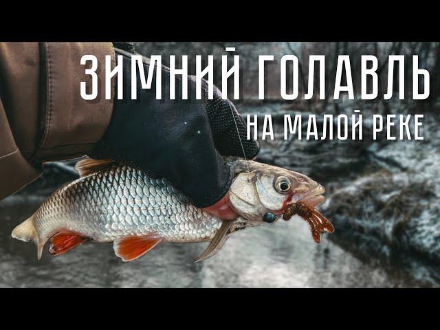 ЗИМНИЙ ГОЛАВЛЬ! Ловля на МИКРОДЖИГ | Зимний СПИННИНГ на малой реке.