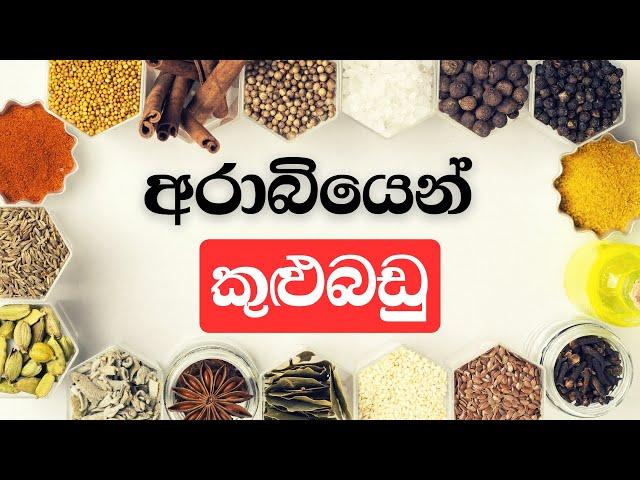 මැදපෙරදිග අරාබියෙන් කුළුබඩු ඉගෙනගනිමු එහෙනම්|අරාබි භාෂාව|arabi bashawa sinhalen|Arabic with sha