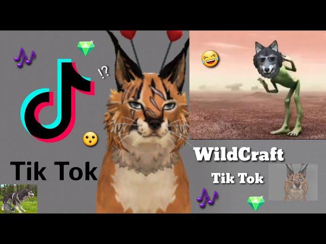 Someone stole my video?! Reacting to Wildcraft Tik Toks~kinda funny