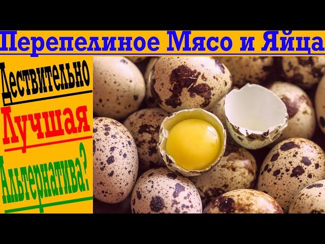 Перепелиные яйца и мясо действительно полезнее?!