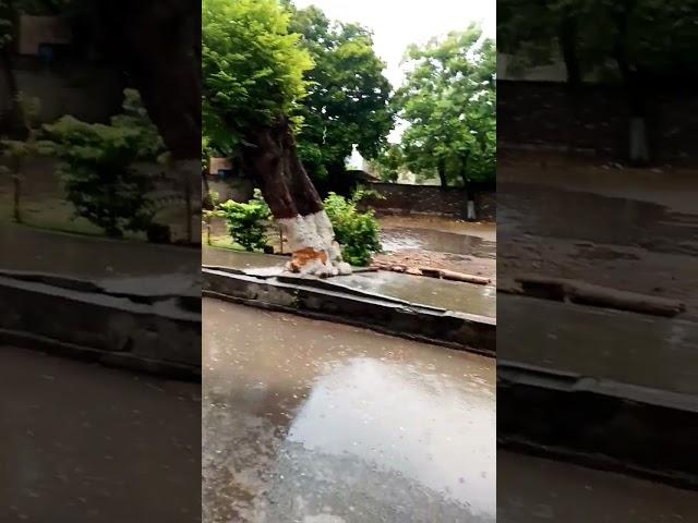 Rainy day