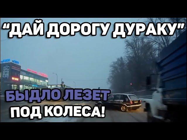 Автоподборка "Дай дорогу дураку" Быдло лезет под колеса#76