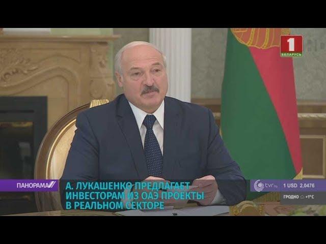 Лукашенко предлагает инвесторам из ОАЭ проекты в реальном секторе. Панорама