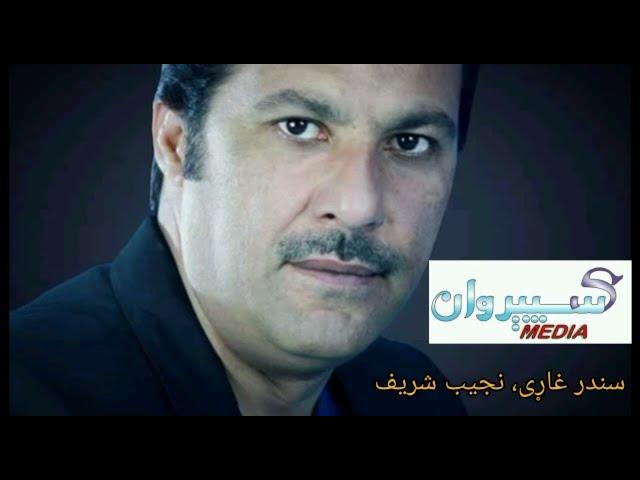 نجیب شریف: د مصر له بازار زلېخا را ته را ځي.