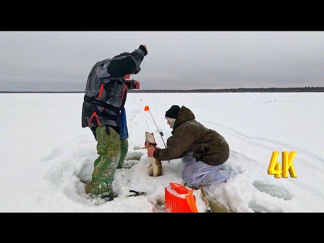 СЧАСТЛИВЫЕ ЛЮДИ, ЗИМНЯЯ РЫБАЛКА - 2 ЧАСТЬ | HAPPY PEOPLE, WINTER FISHING - PART 2.