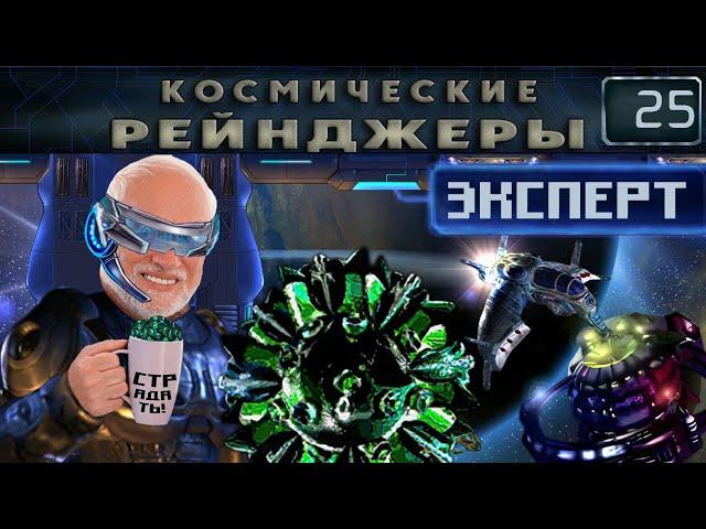 Битва за Элгу ч.2 | Космические рейнджеры 1 Эксперт 200% #25