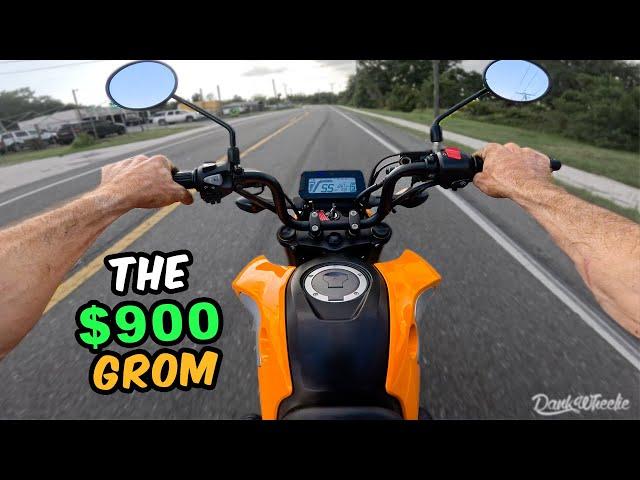 2024 Honda Grom For $900! Test Ride + Rebuild