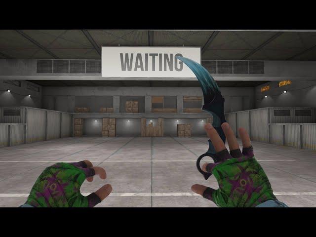 Karambit "Dragon Glass" and Gloves "Acid"