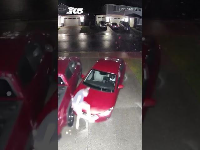 Fed up homeowner confronts car thief in his driveway