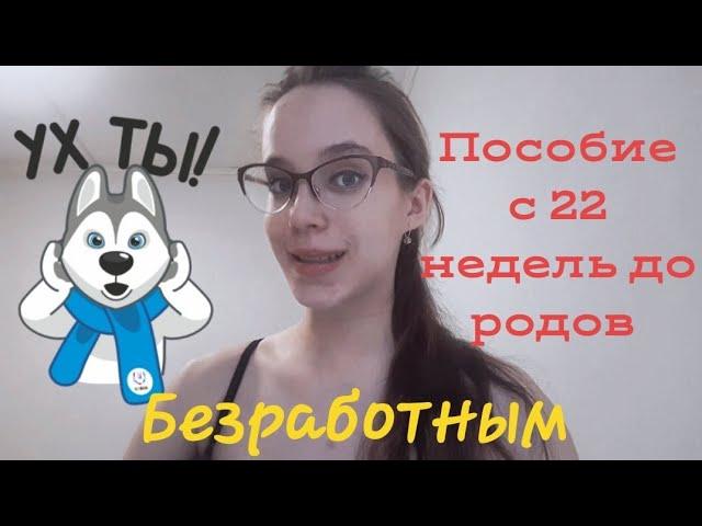 Пособие беременным безработным с 22 недель до родов