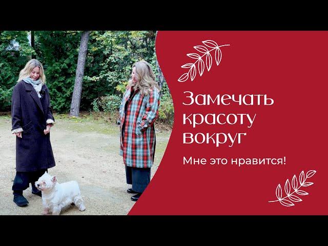 Замечать красоту вокруг | «Мне это нравится» №173 (18+)