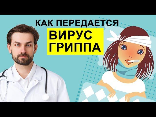 ВИРУС ГРИППА. КАК ПЕРЕДАЕТСЯ ВИРУС ГРИППА? КАК ДОЛГО ЧЕЛОВЕК ЗАРАЗЕН ПРИ ГРИППЕ?