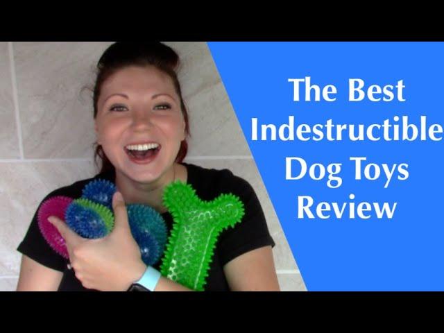 Tough Squeaky Dog Toys For Chewers Review *Pitbull Tested*