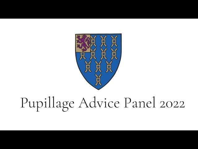 Pupillage Advice Panel 2022