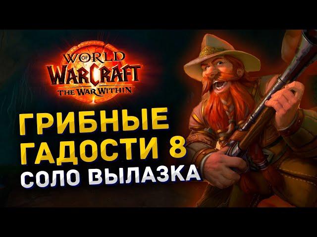 Гайд | Соло Вылазка Грибные Гадости 8 | Охотник | World of Warcraft The War Within