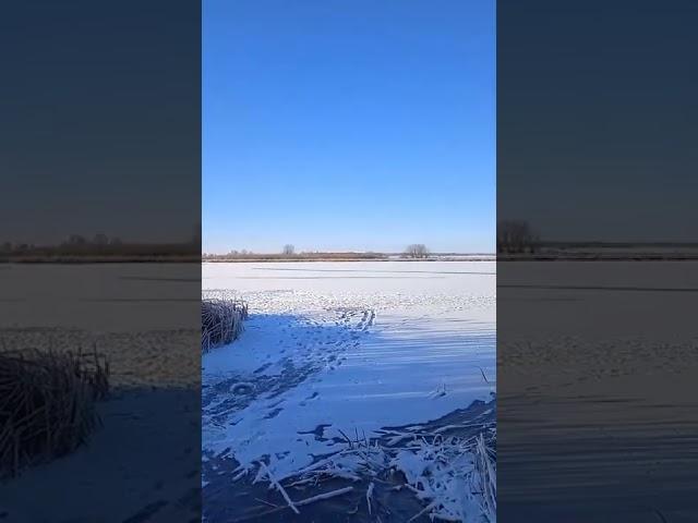 "Нюрка" Песни разных жанров.Народные таланты.