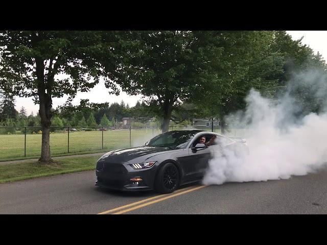 2016 Ford Mustang GT burnout!