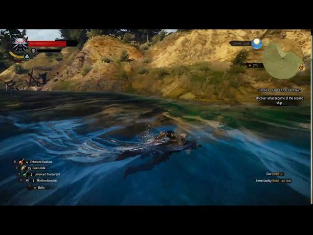 The Witcher 3 - Drowner swims in land