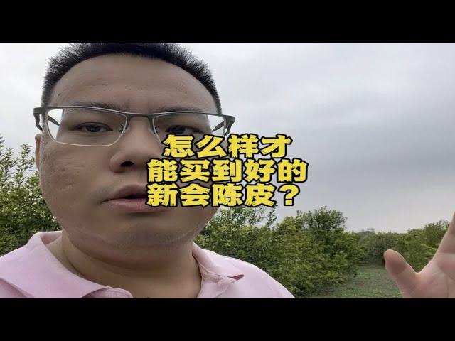 怎么样才能买到好的新会陈皮？需要看树种吗？抓住一个核心原则