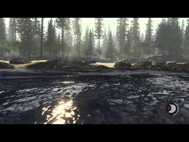 The Forest: Surviving and stuff